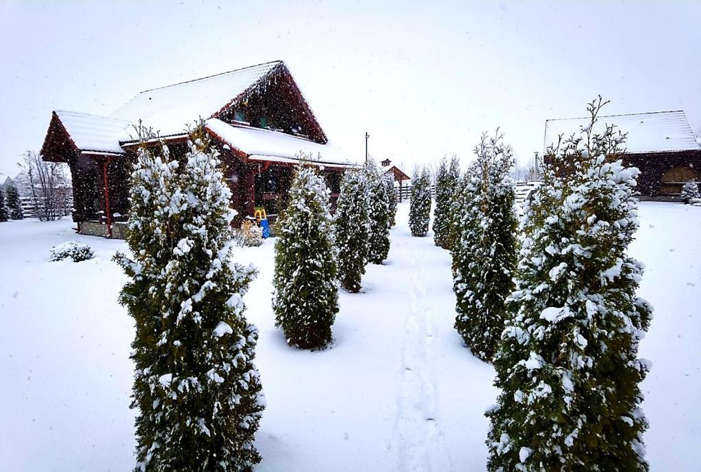 La Casute Bran Villa Törcsvár Kültér fotó