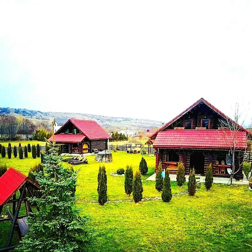 La Casute Bran Villa Törcsvár Kültér fotó