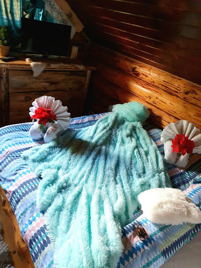 La Casute Bran Villa Törcsvár Kültér fotó