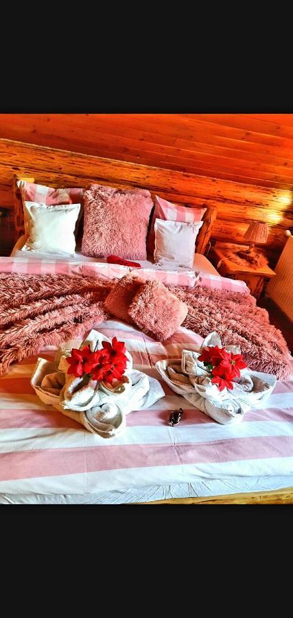 La Casute Bran Villa Törcsvár Kültér fotó