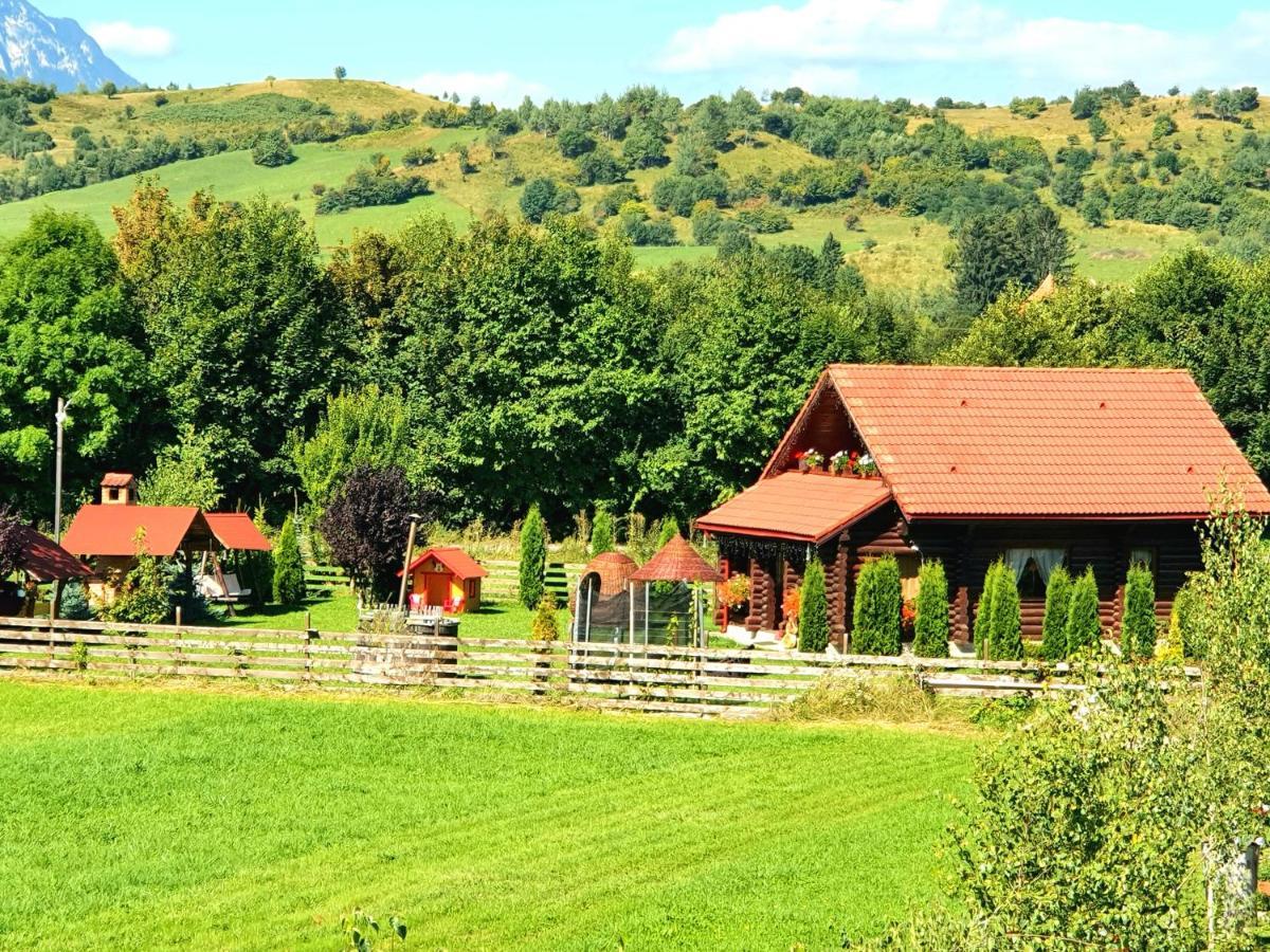 La Casute Bran Villa Törcsvár Kültér fotó